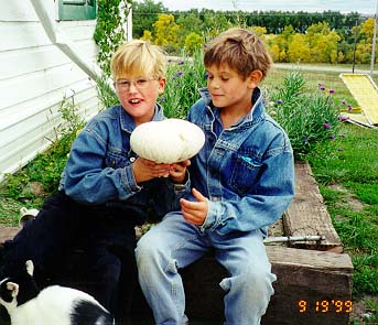 Buzz with huge mushroom!